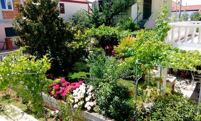 Apartment Matovina Zadar Buitenkant foto